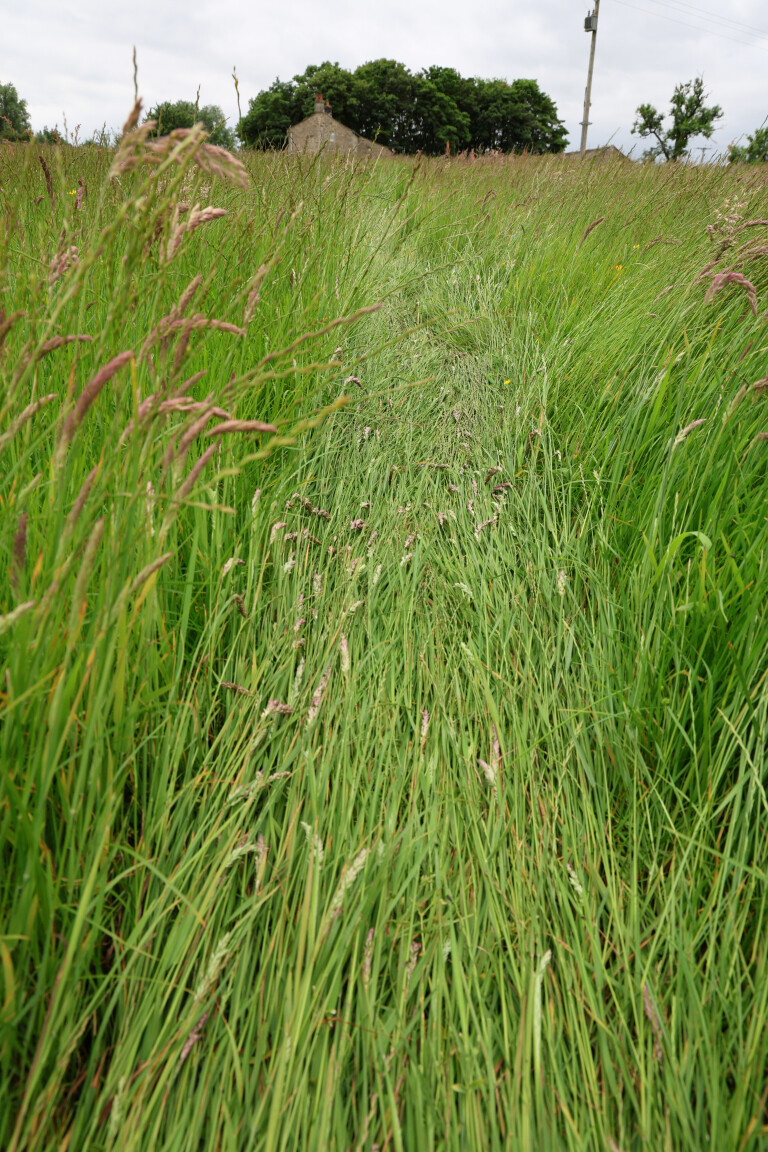 Grassy Path, Winterburn Reservoir, North Yorkshire